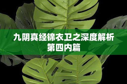 九阴真经锦衣卫之深度解析第四内篇图片