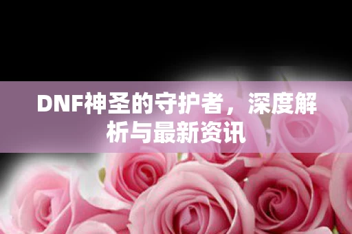 DNF神圣的守护者图片