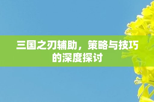 策略与技巧的深度探讨图片