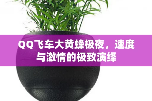 速度与激情的极致演绎图片