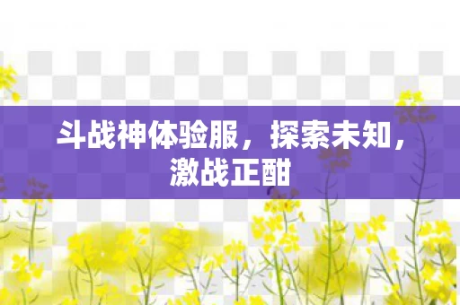 斗战神体验服图片
