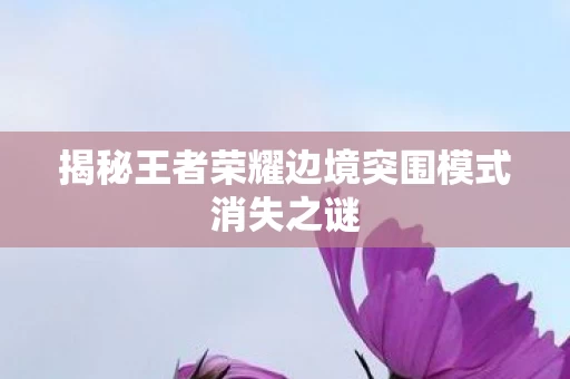 揭秘王者荣耀边境突围模式消失之谜图片