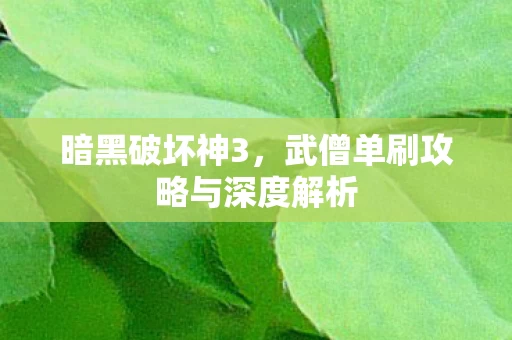 武僧单刷攻略与深度解析图片
