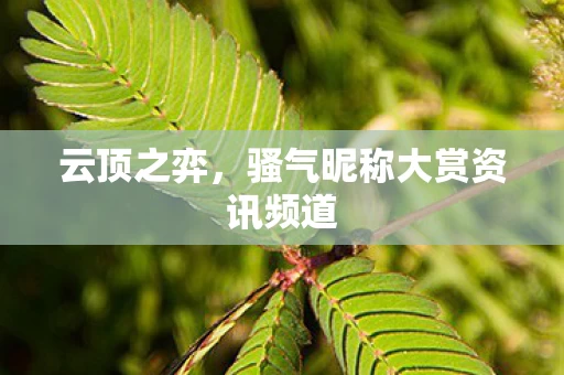 骚气昵称大赏资讯频道图片