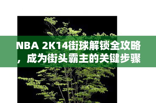 NBA 2K14街球解锁全攻略图片