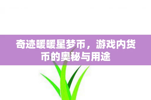 游戏内货币的奥秘与用途图片