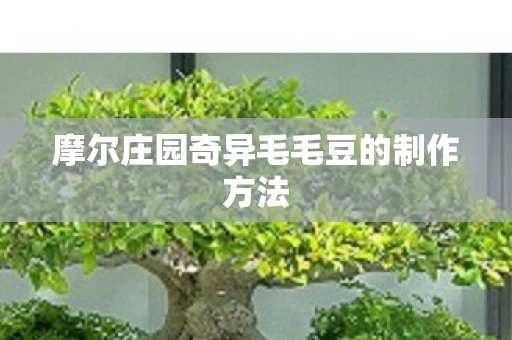 摩尔庄园奇异毛毛豆的制作方法图片