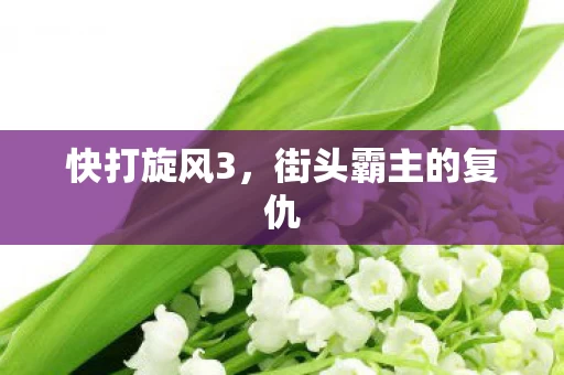 街头霸主的复仇图片