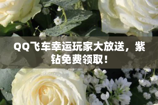 QQ飞车幸运玩家大放送图片