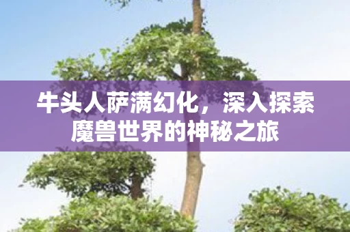 深入探索魔兽世界的神秘之旅图片