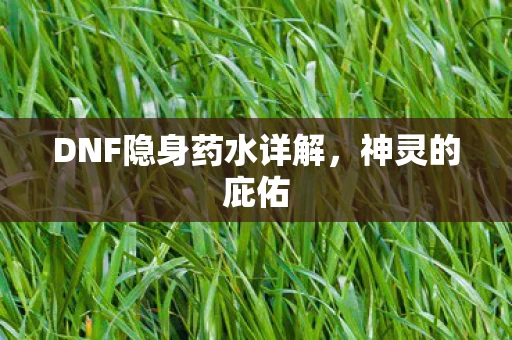 DNF隐身药水详解图片