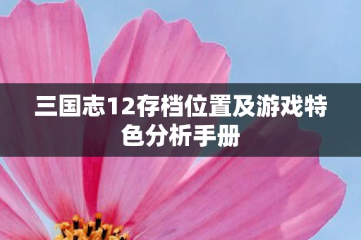 三国志12存档位置及游戏特色分析手册图片