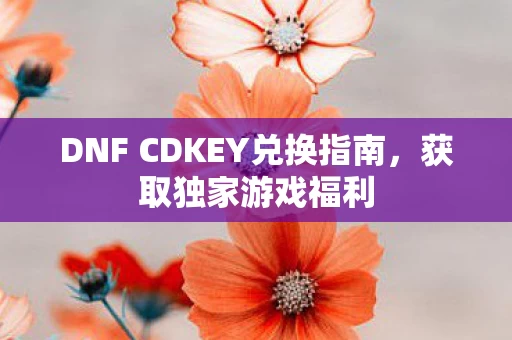 DNF CDKEY兑换指南图片