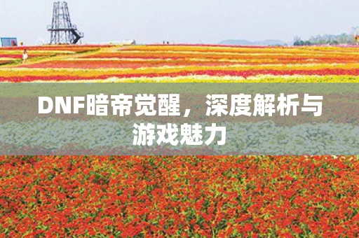深度解析与游戏魅力图片
