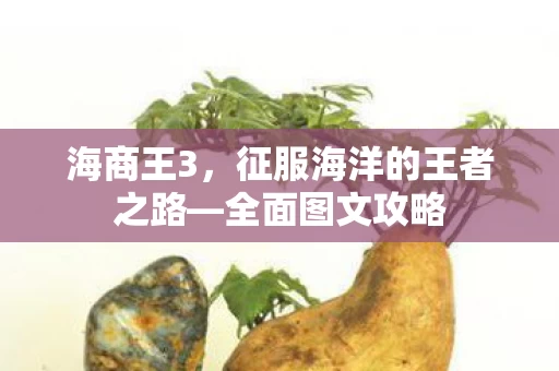 征服海洋的王者之路图片