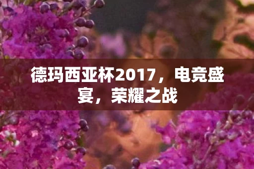 德玛西亚杯2017图片