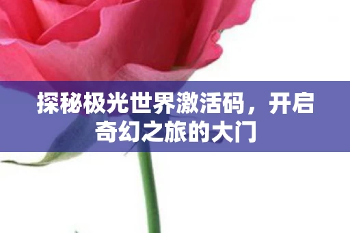 探秘极光世界激活码图片