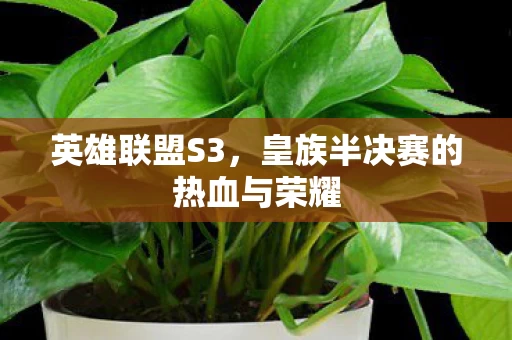 皇族半决赛的热血与荣耀图片