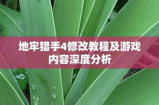 地牢猎手4修改教程及游戏内容深度分析图片