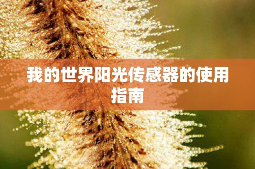 我的世界阳光传感器的使用指南图片