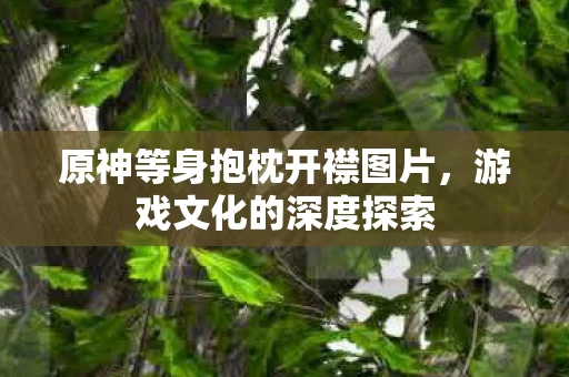 原神等身抱枕开襟图片图片
