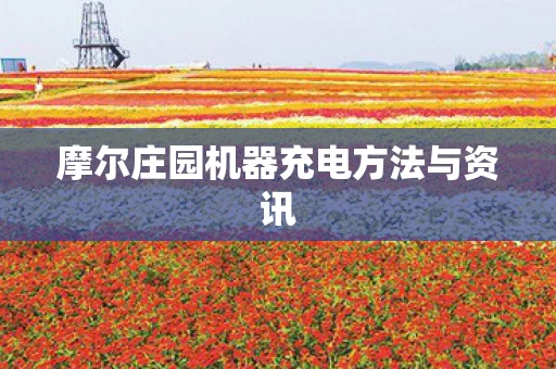 摩尔庄园机器充电方法与资讯图片