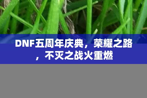 DNF五周年庆典图片
