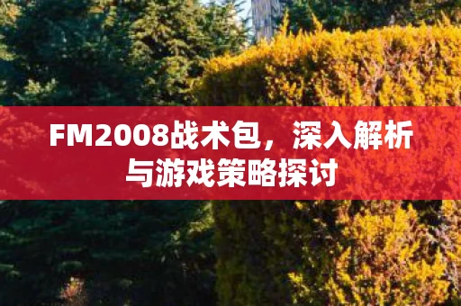 深入解析与游戏策略探讨图片