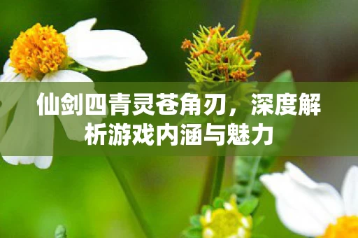 深度解析游戏内涵与魅力图片