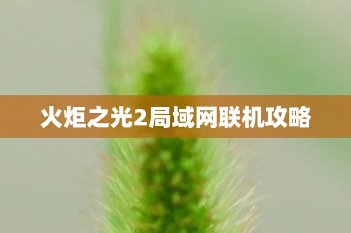 火炬之光2局域网联机攻略图片
