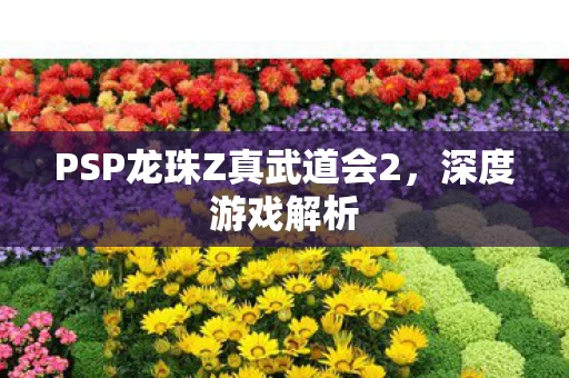 PSP龙珠Z真武道会2图片
