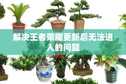 解决王者荣耀更新后无法进入的问题图片