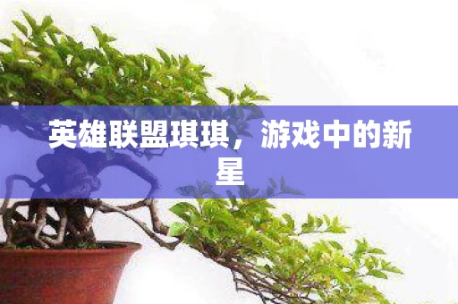 英雄联盟琪琪图片