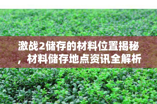 激战2储存的材料位置揭秘图片