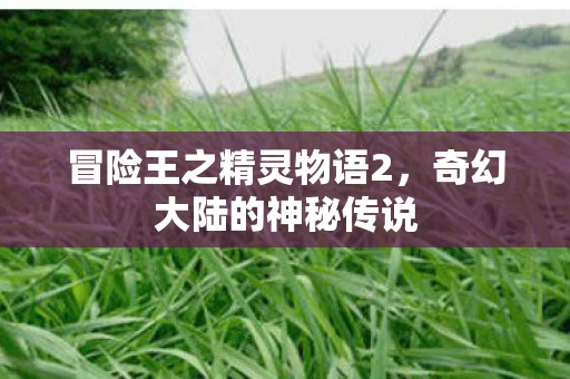 冒险王之精灵物语2图片