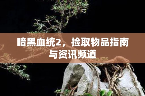 捡取物品指南与资讯频道图片