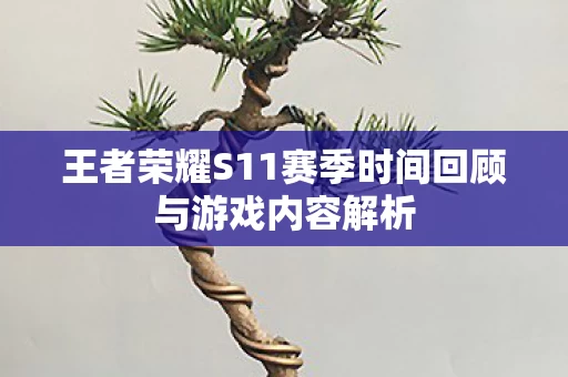 王者荣耀S11赛季时间回顾与游戏内容解析图片