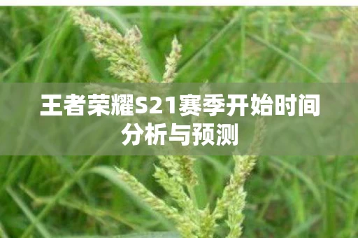 王者荣耀S21赛季开始时间分析与预测图片
