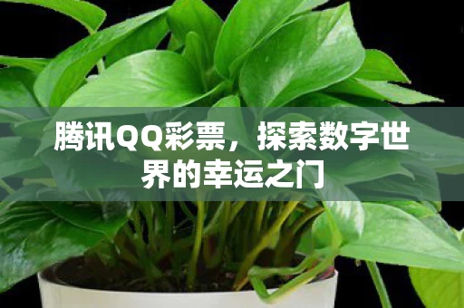探索数字世界的幸运之门图片