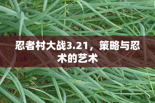 策略与忍术的艺术图片