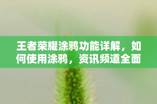 王者荣耀涂鸦功能详解图片