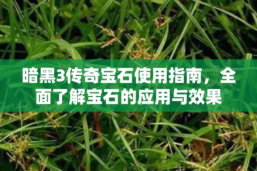 全面了解宝石的应用与效果图片