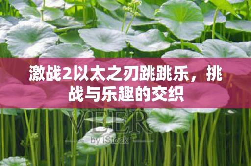 激战2以太之刃跳跳乐图片