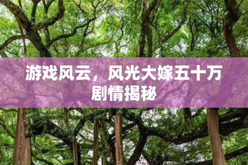 风光大嫁五十万剧情揭秘图片
