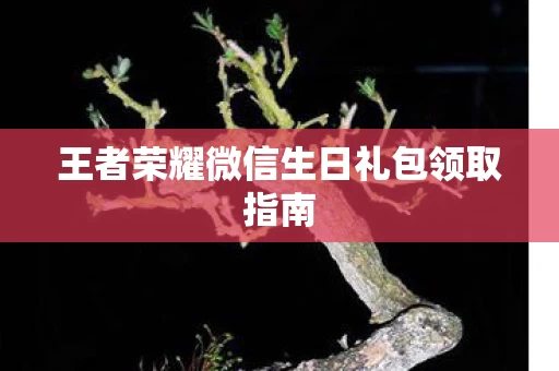 王者荣耀微信生日礼包领取指南图片