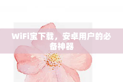 安卓用户的必备神器图片