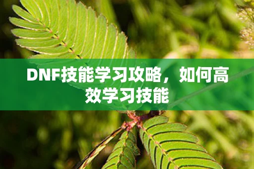 DNF技能学习攻略图片