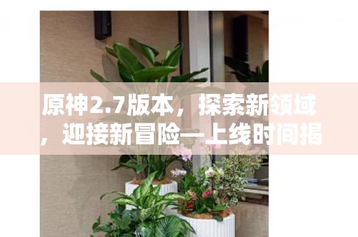 上线时间揭秘图片