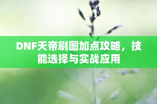 DNF天帝刷图加点攻略图片