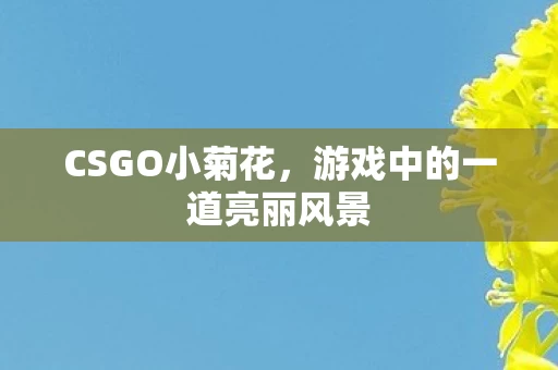 游戏中的一道亮丽风景图片
